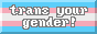 trans your gender